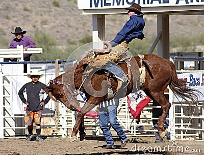 Rodeo Bucking Bronc Rider Editorial Stock Photo