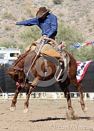Rodeo Bucking Bronc Rider Editorial Stock Photo