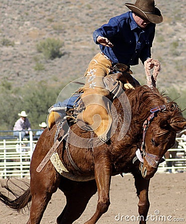 Rodeo Bucking Bronc Rider Editorial Stock Photo