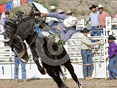 Rodeo Bucking Bronc Rider Editorial Stock Photo