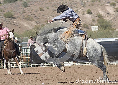 Rodeo Bucking Bronc Rider Editorial Stock Photo