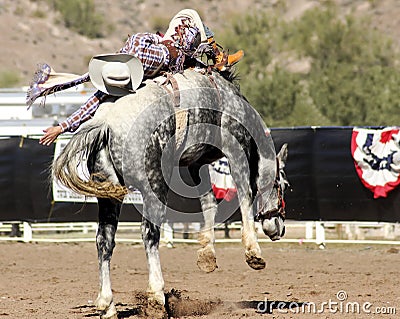 Rodeo Bucking Bronc Rider Editorial Stock Photo