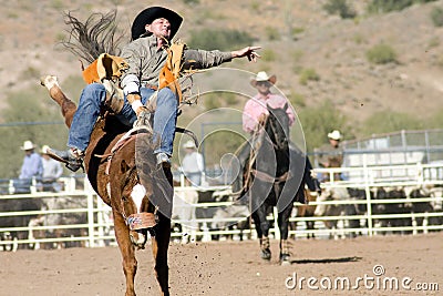 Rodeo Bucking Bronc Rider Editorial Stock Photo