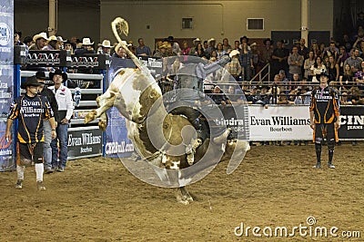 Rodeo bull rider cowboys Editorial Stock Photo
