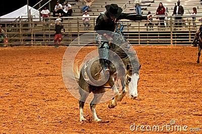 Rodeo Cowboy Stock Photo