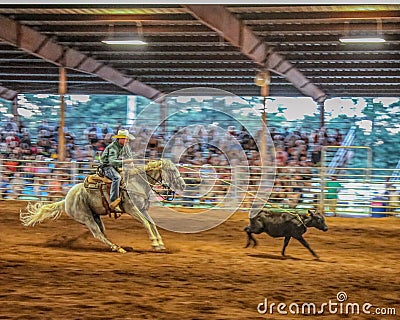 Rodeo event calf roping with horse`s sliding stop. Editorial Stock Photo