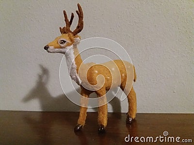 Roe deer animal of class Mammalia mammals Stock Photo