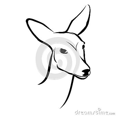 Roe Head Vector Illustration