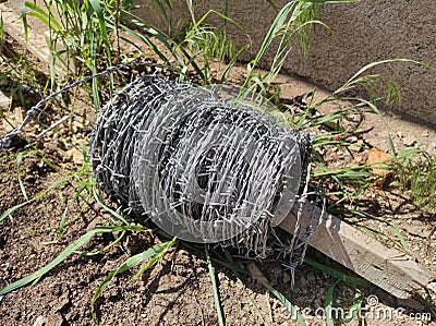 A roll of barbed wire,garden fence wire,barbed metal wire Stock Photo