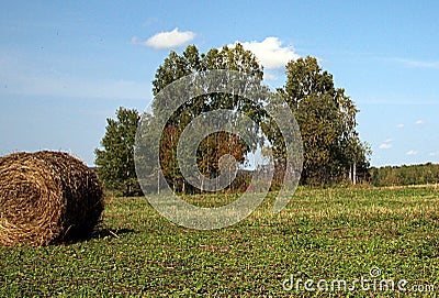 A roll of hay on a field. Some trees in the background. Stock Photo