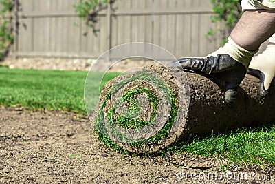 Roll of sod Stock Photo