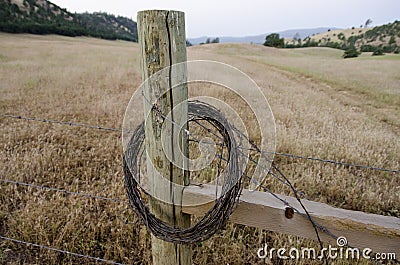 Rolled Barbed Wire on a Fence Post Stock Photo