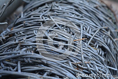 Rolled Barbed Wire Stock Photo