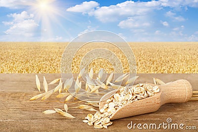 Rolled oat flakes in scoop Stock Photo