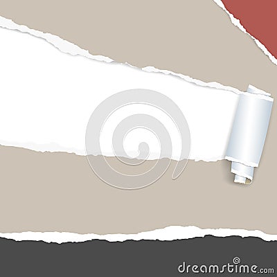 Rolled and ripped brown notebook sheet, torn paper in corner Vector Illustration