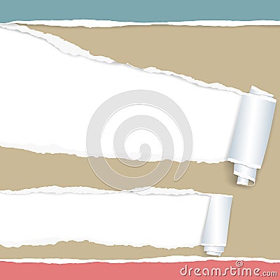 Rolled and ripped brown notebook sheet, torn paper on top and bottom Vector Illustration