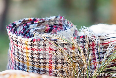 Rolled tartan blanket in the Stock Photo