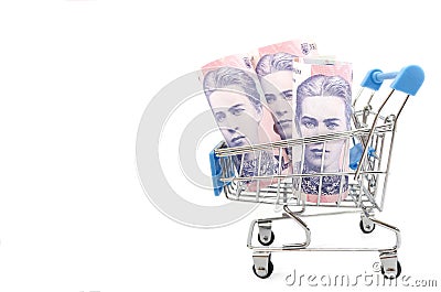 Rolled up 200 hryvnia / basket / white background. Financial concept. Ukrainian hryvnia in the cart.Copy of space. Stock Photo