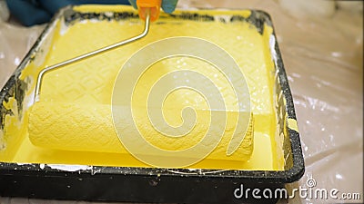 Roller is dipped in yellow paint in tray. Wall painting concept. Close-up view Stock Photo