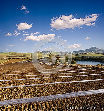 Rolling cultivated land Stock Photo