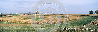 Rolling Farm Fields, Stock Photo