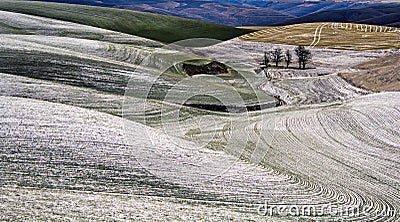 Rolling Farm Fields Covered in Snow on the Palouse in Washington Stock Photo