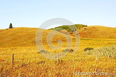 Rolling grassland Stock Photo