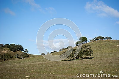 Rolling Green Hills Stock Photo