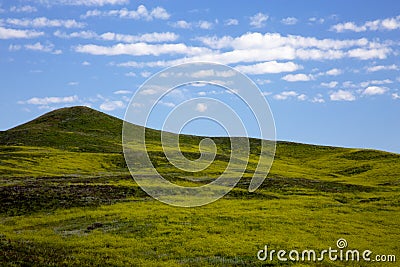 Rolling Green Hills at Custer State Park in South Dakota Stock Photo