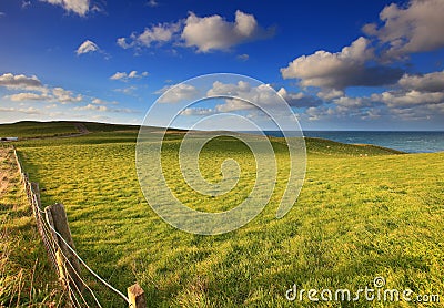 Outdoor landscape in New Zealand - Grass field und Stock Photo