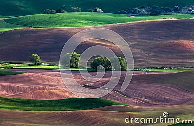 Rolling hill and Farm Land Stock Photo