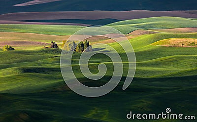 Rolling hill and Farm Land Stock Photo