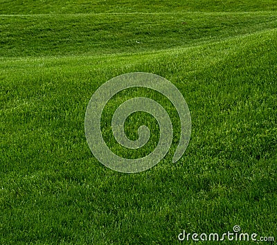 Rolling Hill of Green Grass Square Stock Photo
