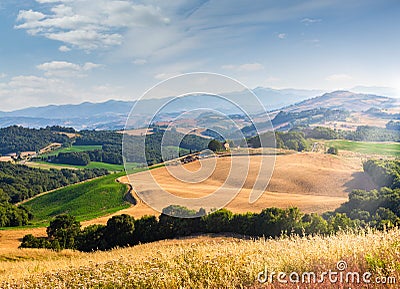 Rolling hills, golden meadow and green landscape in Tuscany, Italy Stock Photo