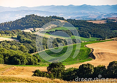 Rolling hills, golden meadow and green landscape in Tuscany, Italy Stock Photo