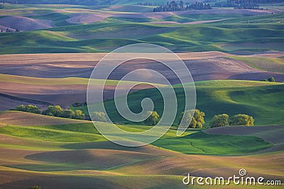 Rolling farm land hills and wheat fields in the Palouse region of Washington State Stock Photo