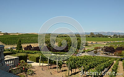 Wine country California Stock Photo