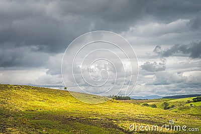 Rolling hills with single trees and fields with sheep in Cuilcagh Mountain Park Stock Photo