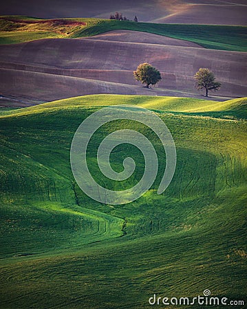 Rolling hills spring Stock Photo