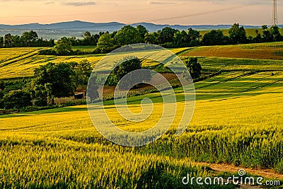 Rolling hills on sunset. Rural landscape. Green fields and farmlands, fresh vibrant colors Stock Photo