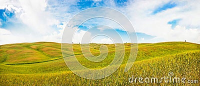 Rolling hills in Val d'Orcia, Tuscany, Italy Stock Photo