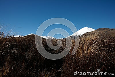 Rolling landscape of alpine vegetation leading to conical volcanic cone of Mount Ngauruhoe Stock Photo