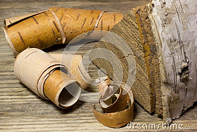 Rolls of birch Bark Stock Photo