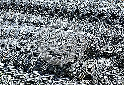 Rolls of galvanized steel wire mesh with a large cell and twisted pattern close-up. In the category of texture, screen Stock Photo