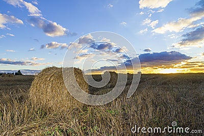 Rolls of hay in field at sunset Stock Photo