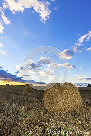 Rolls of hay in field at sunset Stock Photo