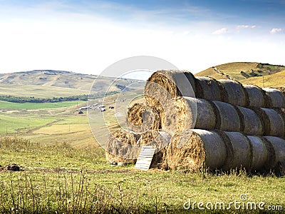 Rolls of haystacks Stock Photo