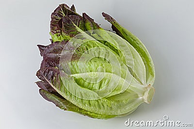 Romain lettuce on white background closeup view Stock Photo