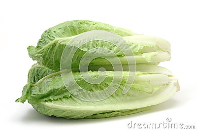 Romaine lettuce Stock Photo