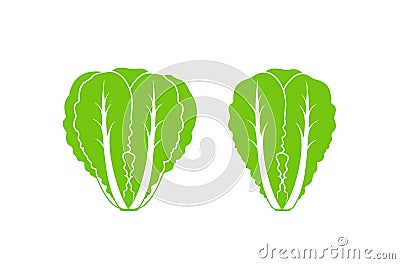 Romaine lettuce. Isolated lettuce on white background. Logo Vector Illustration